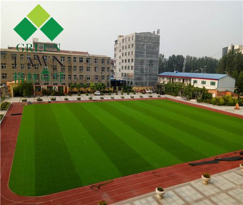 開(kāi)封通許縣學(xué)校景觀綠化